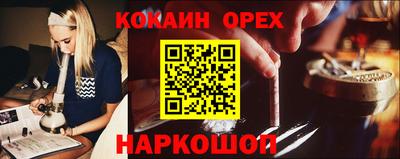 крисы Гай