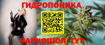 меф Гатчина