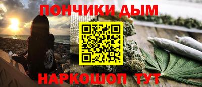 крисы Гай