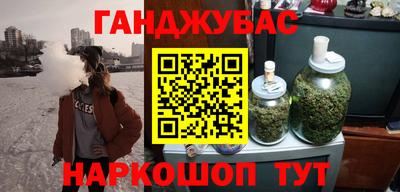 крисы Гай