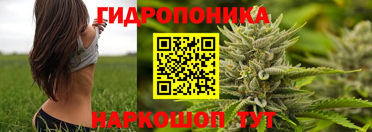 Канабис OG Kush  Бошки Шишки Bruce Banner  Вход с VPN  Конопля White Widow  Керчь 